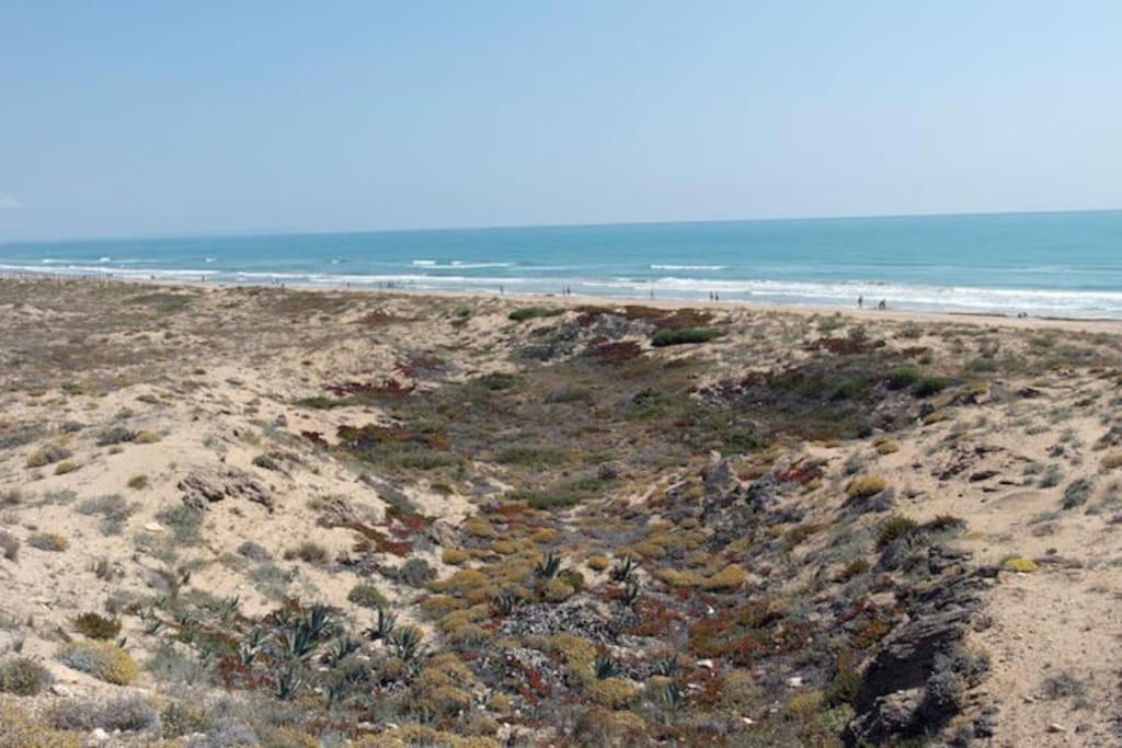 לה מאטה Villa Magerit, Entire Home 5 Minutes Easy Walk To Sandy Beach מראה חיצוני תמונה